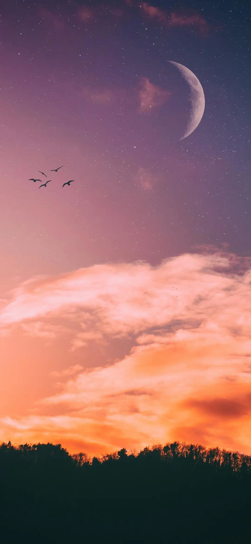 ♡ wallpaper ♡