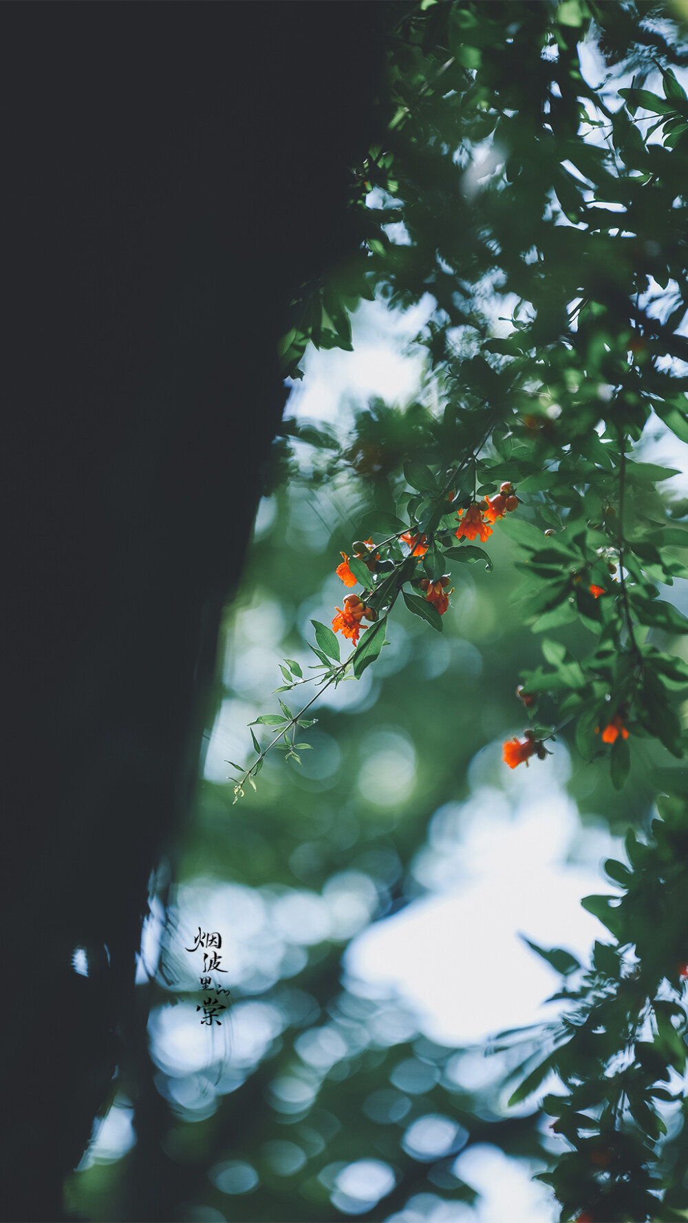 【甘熙故居】染上夏日的光影