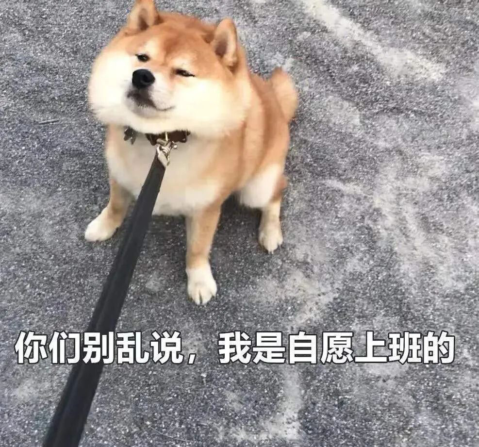 上班呀