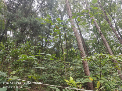 眉山市仁寿县黑龙滩景区留念，飘虹伴月许昌培拍摄，成都市青白江区姚渡镇红瓦店社区，原祥福镇，城厢镇