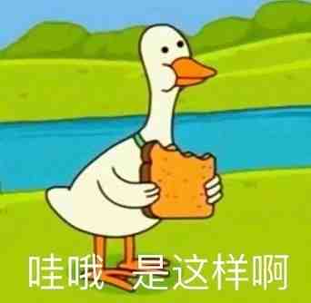 哇哦 是这样啊