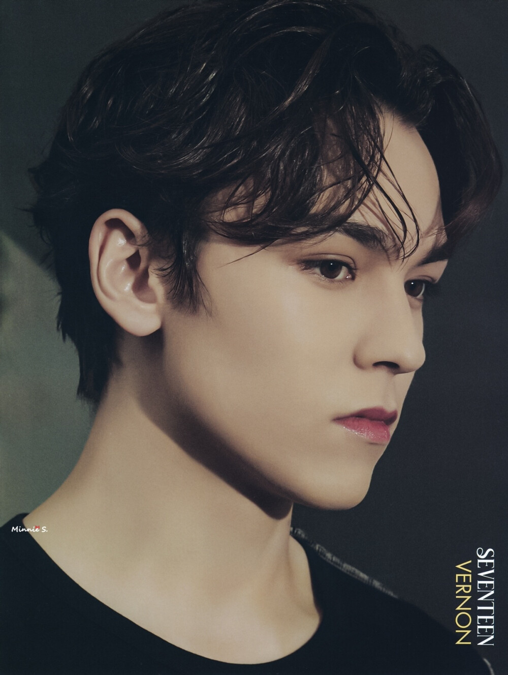 崔瀚率 VERNON