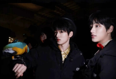 ^鑫轩 鑫照不轩的大小漂亮