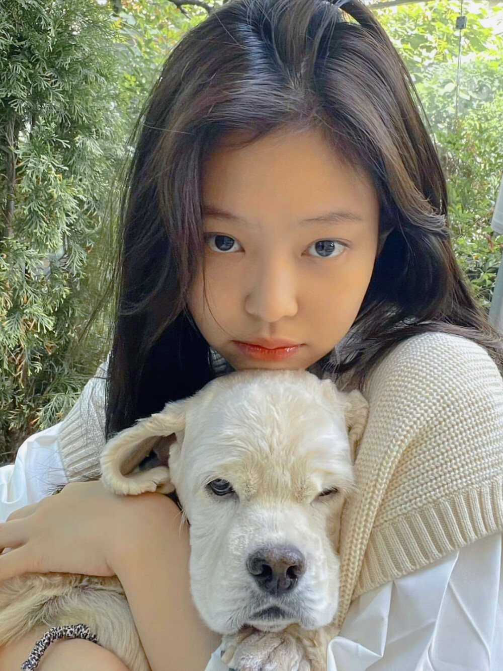 Jennie头像更新