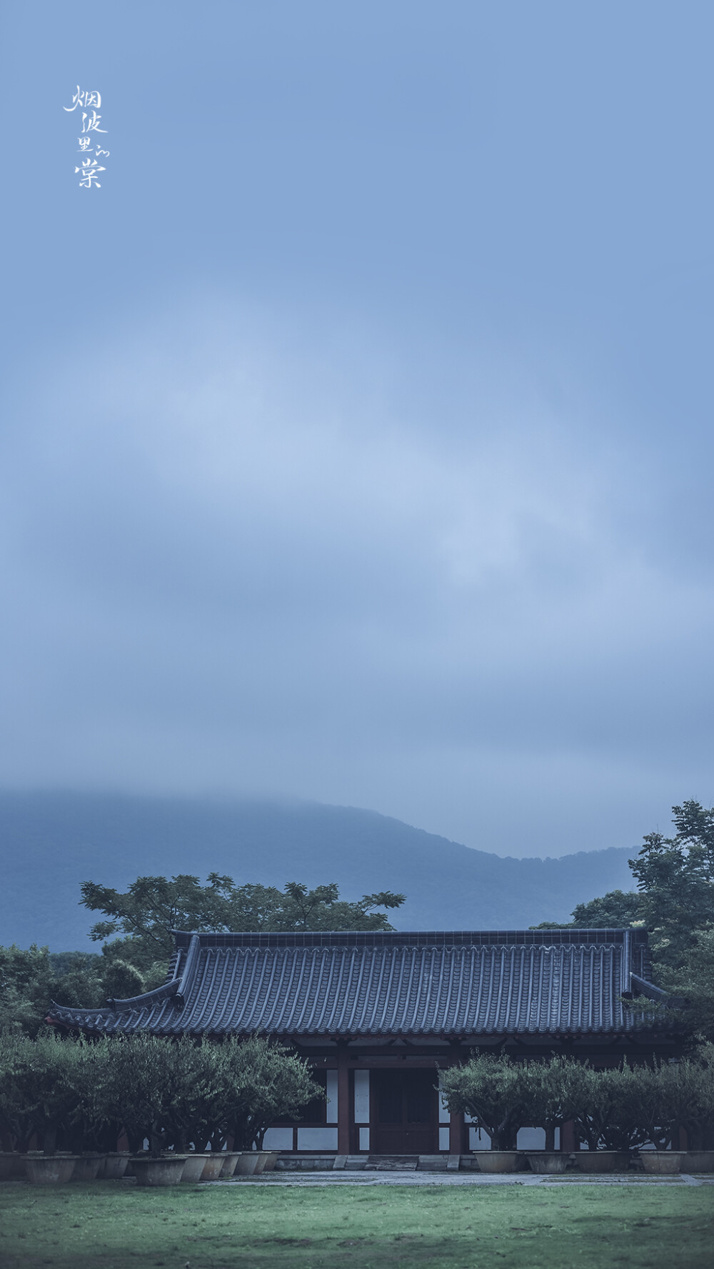 梅花山下梅花谷，梅花谷中梅花鹿