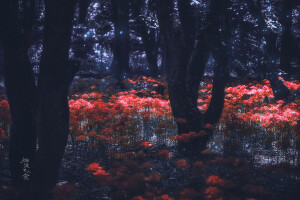 忘川河畔，开出幽冥之花