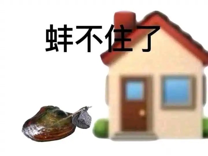 蚌不住了