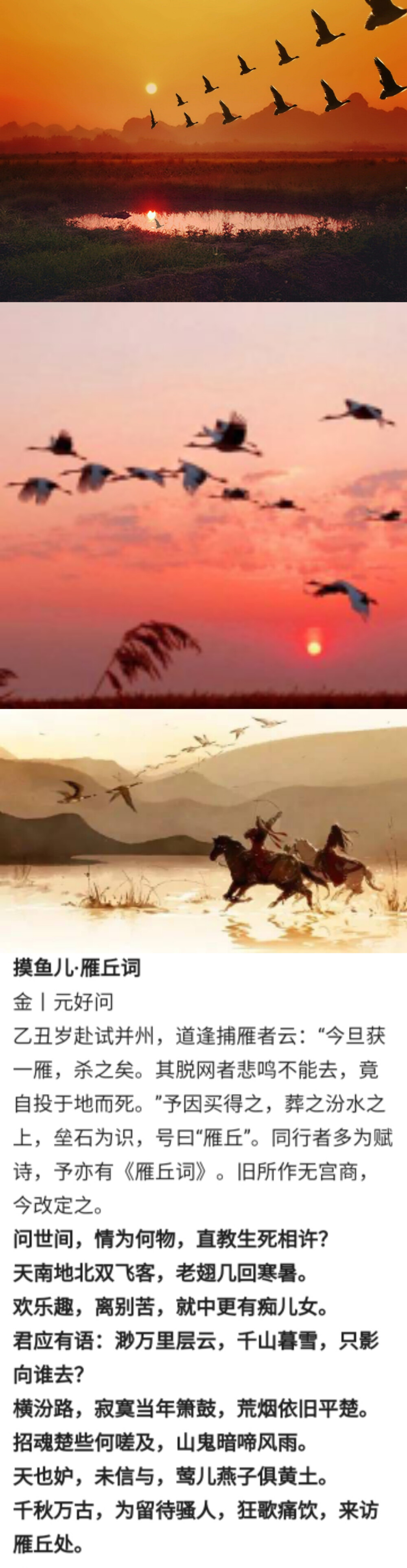 爱情是什么？或许每个人心中都有不同的答案。公元1205年，十六岁的元好问赶赴并州参加科考，在路上遇到了捕雁的猎人，抓到了两只大雁，一只大雁死去了，另一只大雁挣脱捕网，在空中盘旋多时，哀鸣不已，不多时从空中撞向地面，死在那只大雁身旁。元好问深受感动，花钱买下了两只大雁，合葬在了汾水旁，垒起石头作为标记，称为“雁丘”。然后写下了著名的《摸鱼儿·雁丘词》，谱写了一首爱情挽歌，后来大雁的爱情引申到人与人之间的爱情，对为爱牺牲的人的一种赞赏，曾被影视作品《神雕侠侣》引用。