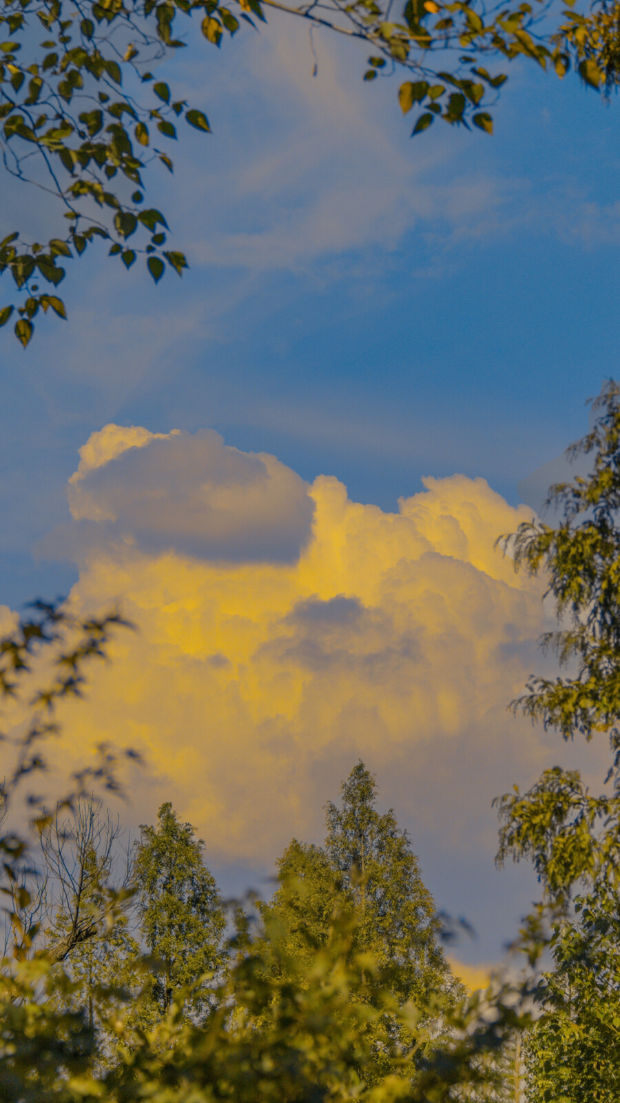 我想在秋天储存浪漫，好在冬天馈赠与你。
©️昵称太长会挨打的