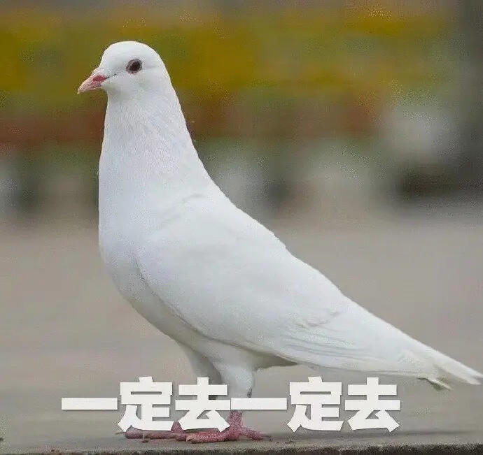 表情包