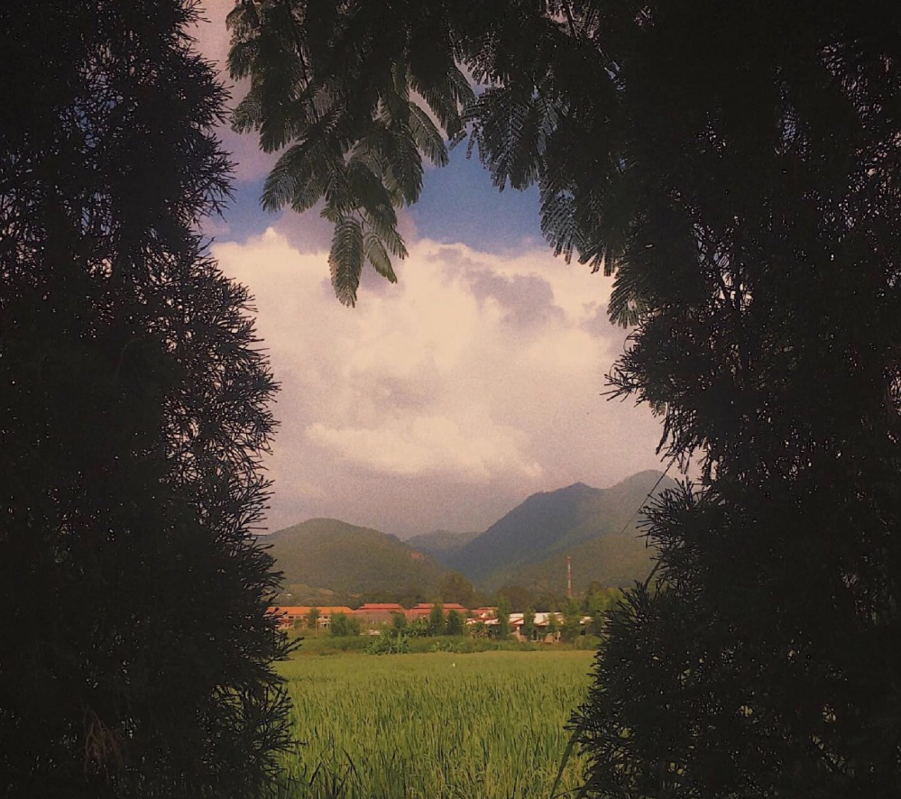 背景图
♡海有海的神明，湖有湖的黄昏♡