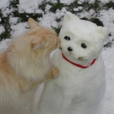 杂系背景图
-“想着他们都会回来，你誓死为了这些而存在。”