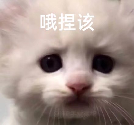 猹
表情包