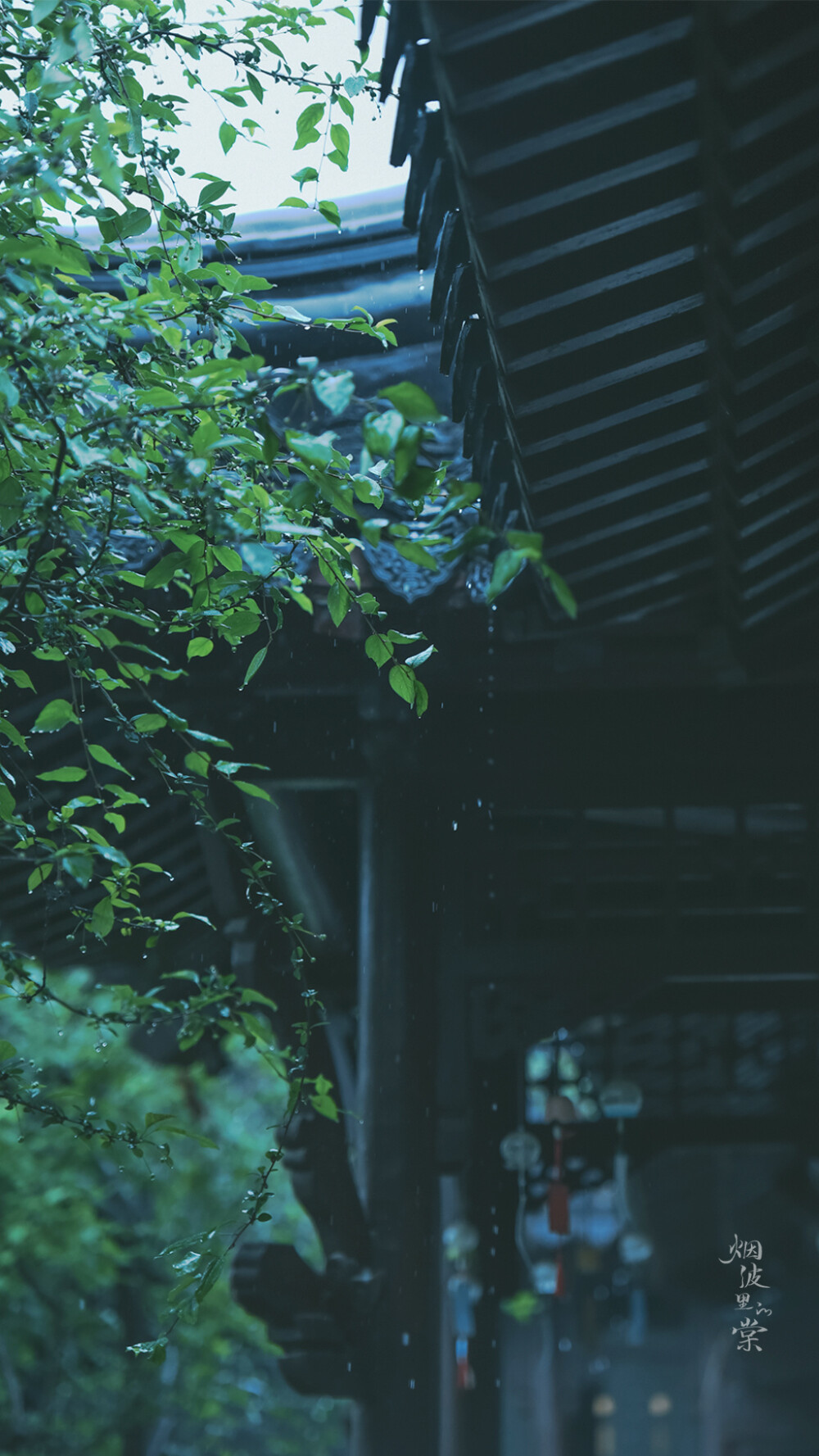 枕上诗书闲处好，门前风景雨来佳