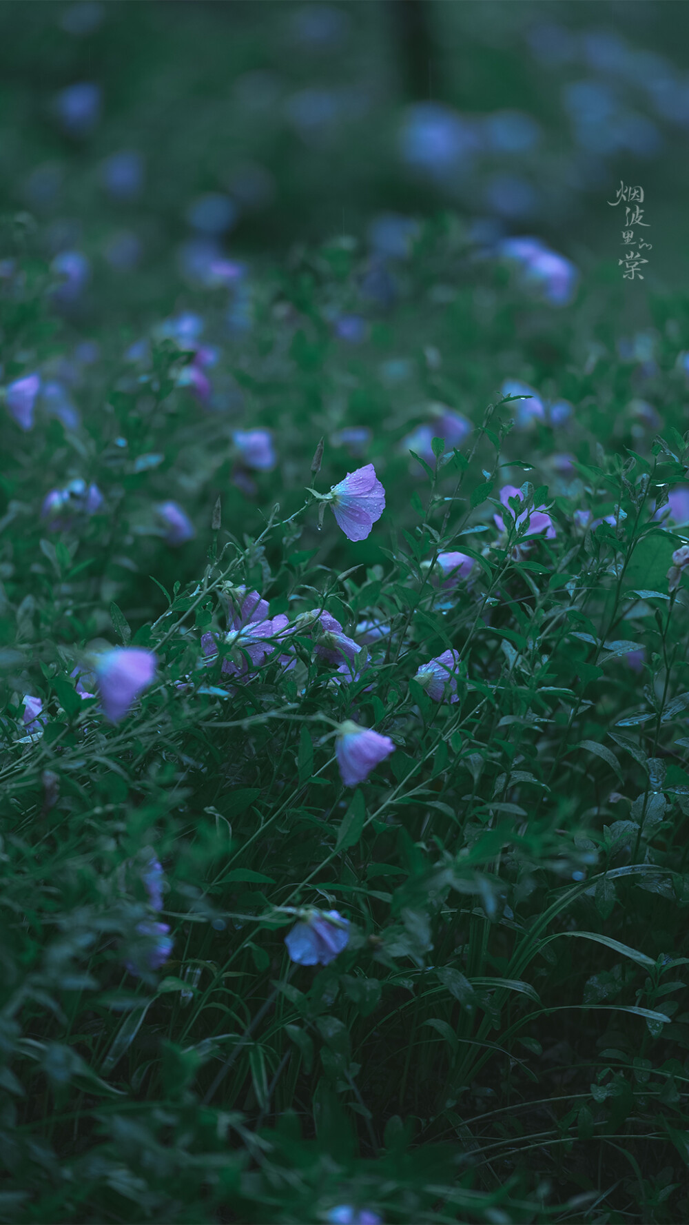 枕上诗书闲处好，门前风景雨来佳