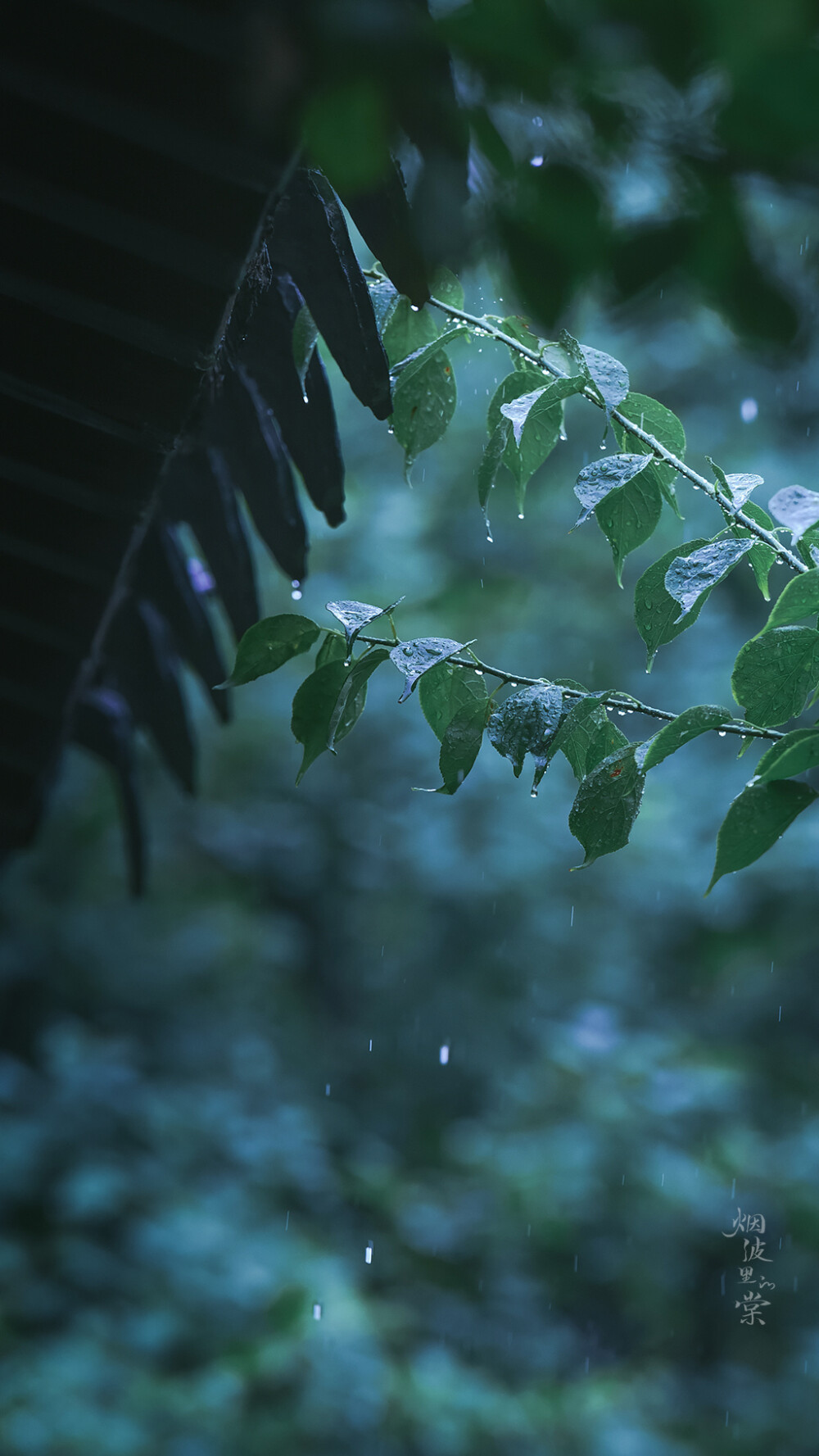 枕上诗书闲处好，门前风景雨来佳