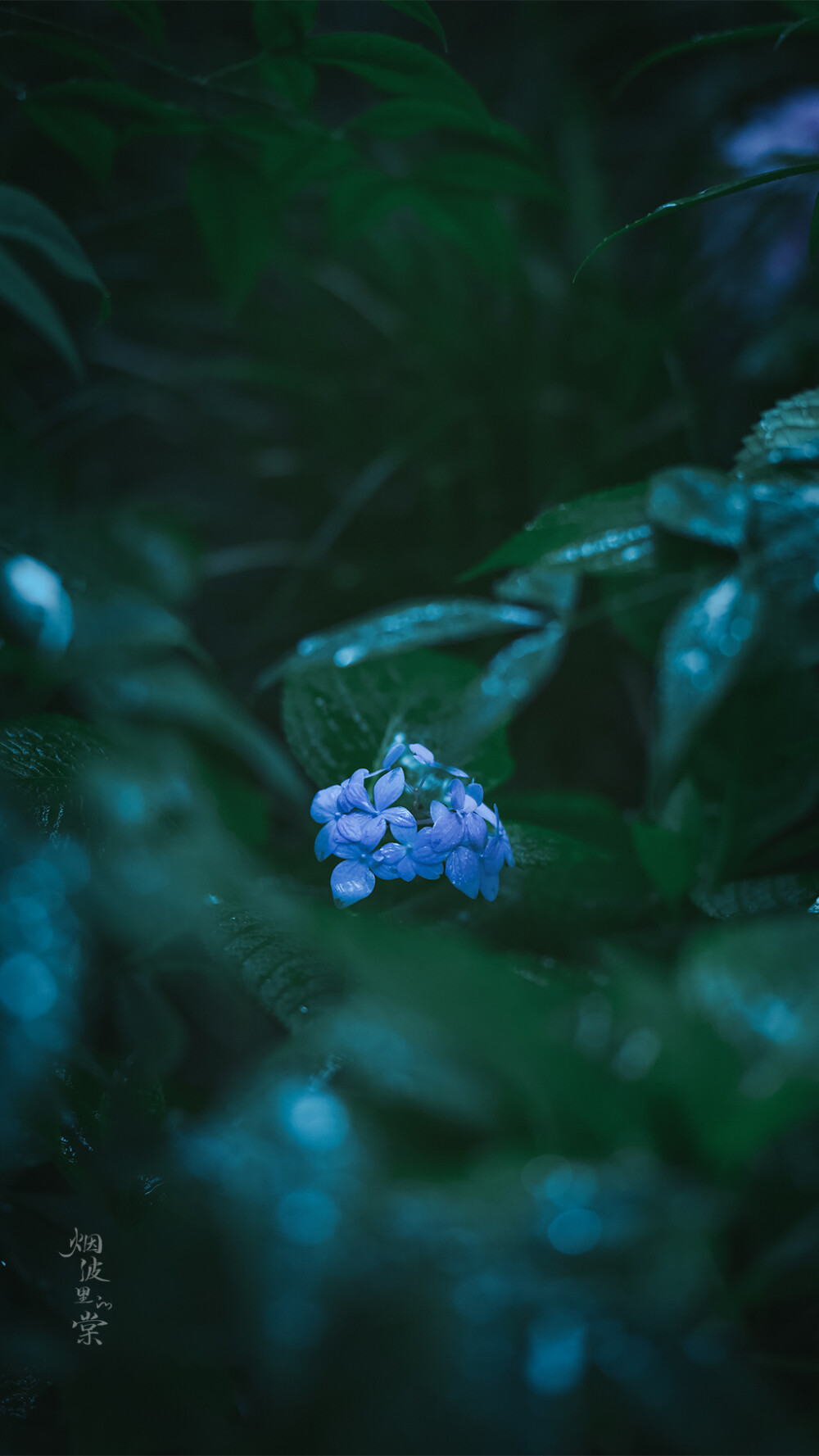 枕上诗书闲处好，门前风景雨来佳