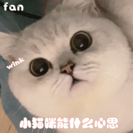 如果你想见我
我们之间就没有距离
无论是暴雨
还是二百一十二公里