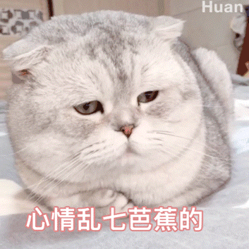 “你遇见的人越多 就会越明白更想回到谁身边” ​​​