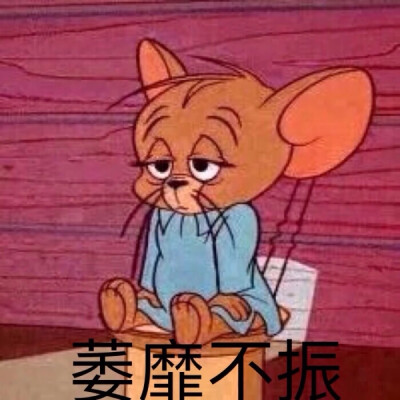 汤姆杰瑞可爱表情包分享