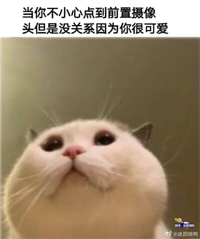 我不记得有没有传过了