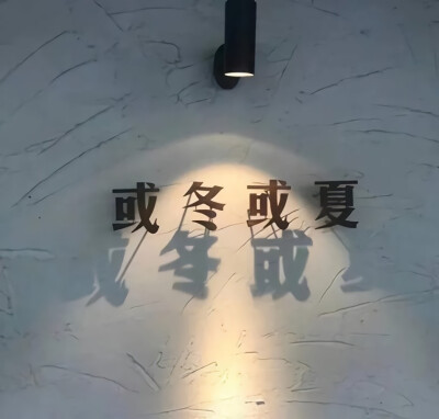 一些文字