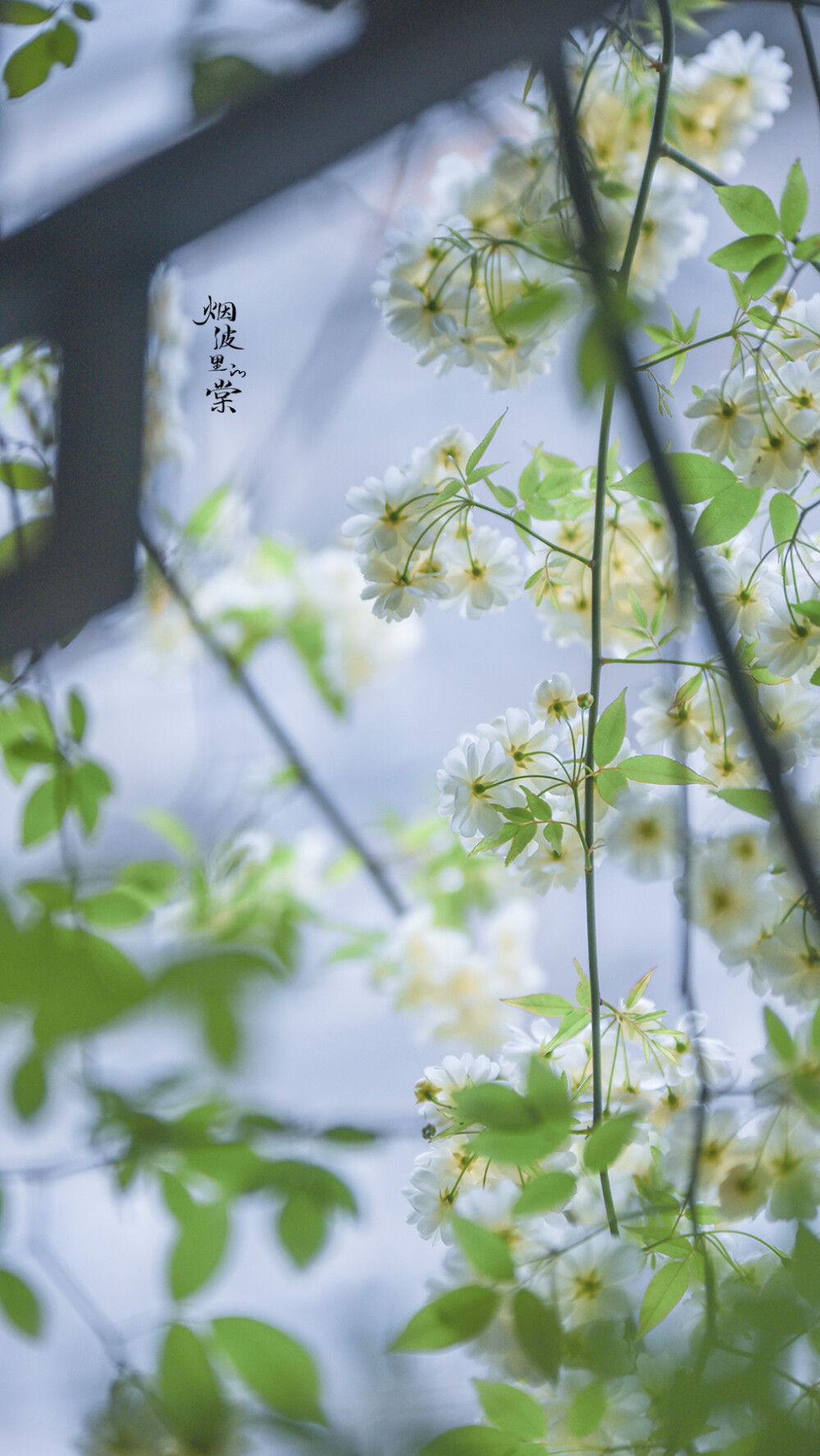 壁纸，却顾所来径 苍苍横翠微