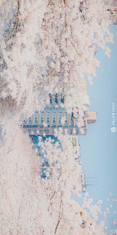 壁纸，却顾所来径 苍苍横翠微