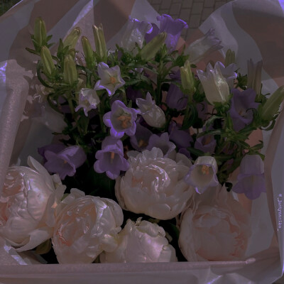 “毕竟深情的代价昭然若揭，不是人人都可以有知其不可而为之的一生"