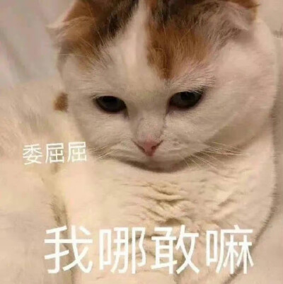 出處微博