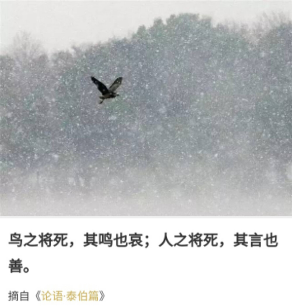 经典名句，深入人心