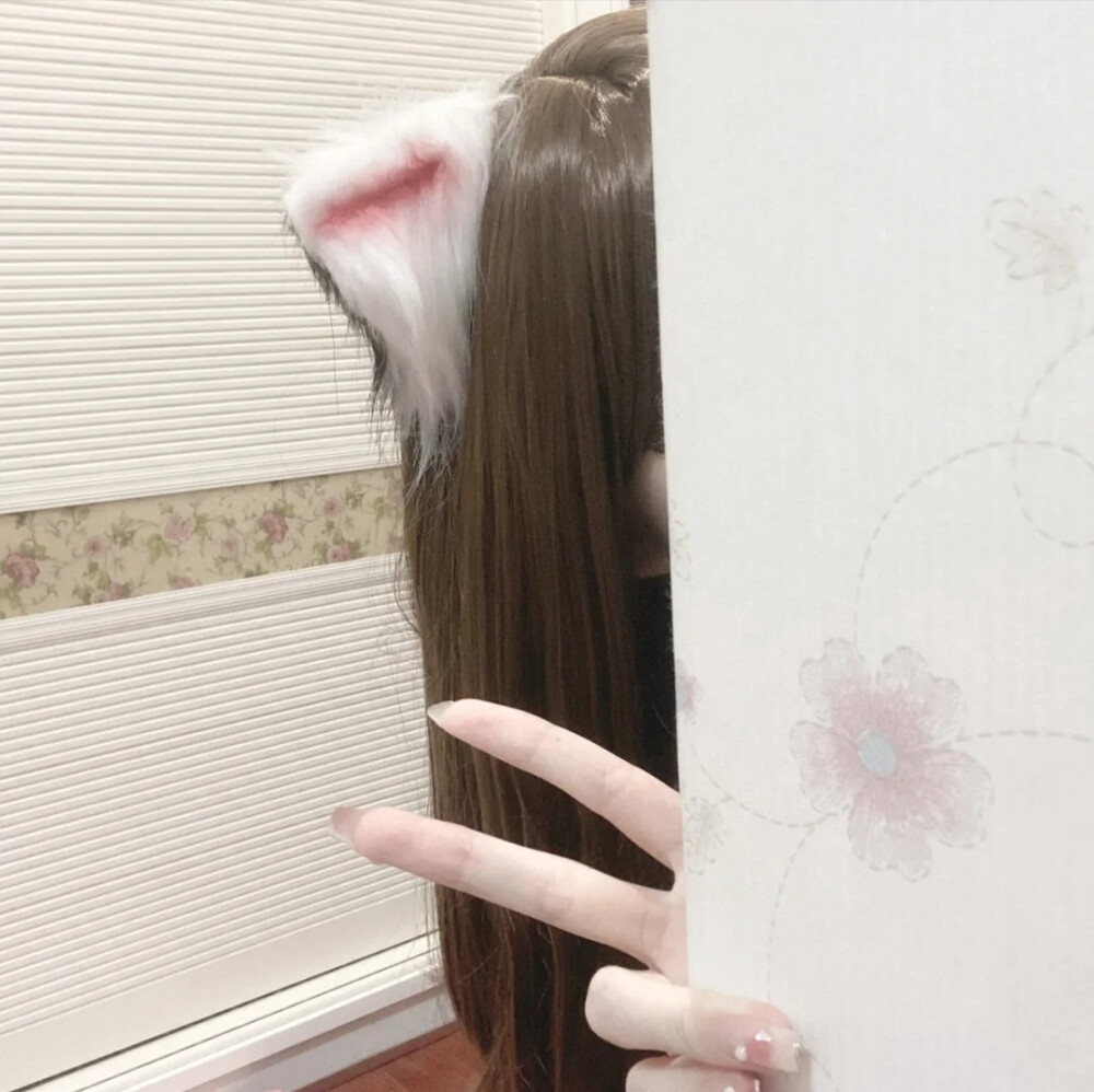 hi主人