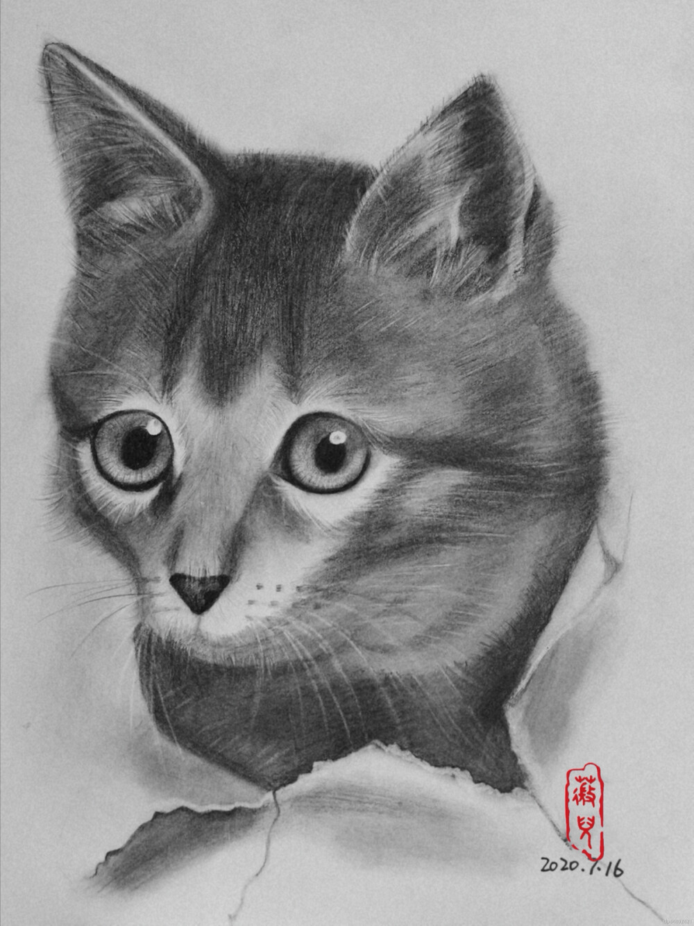 《猫》by大鹏素描课