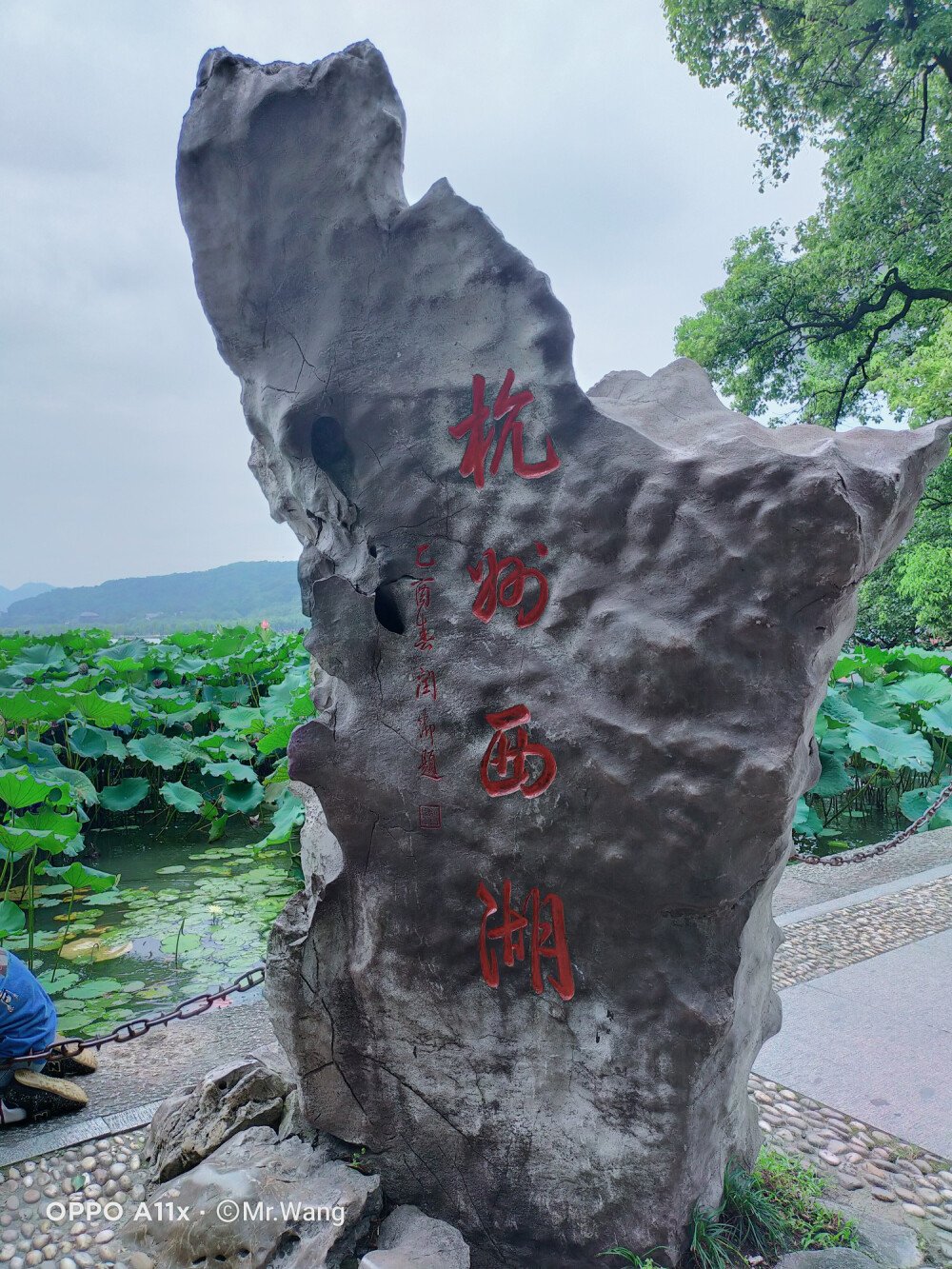 西湖的一天