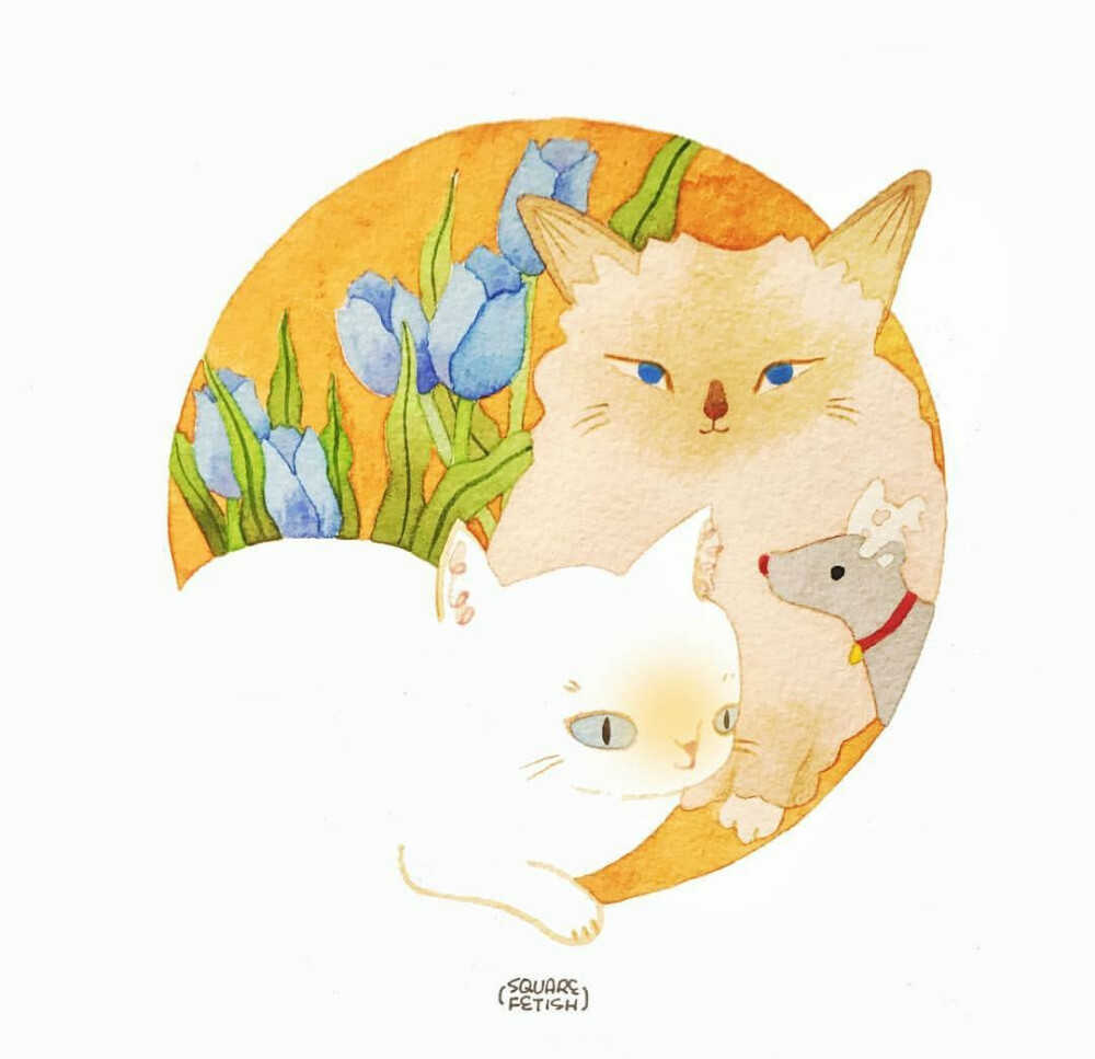 插画猫咪，ins：squarefetish ​