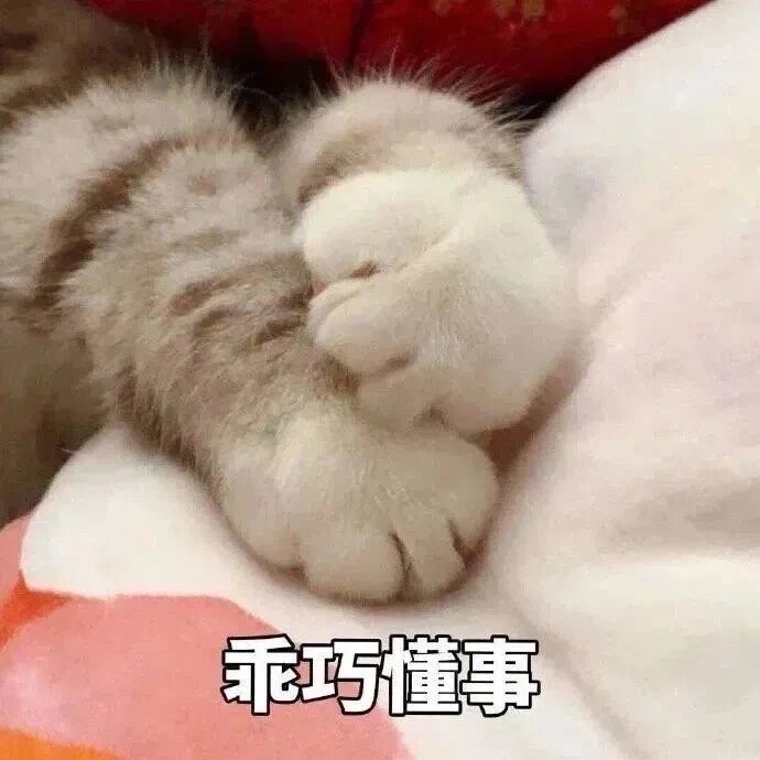 猫表情包