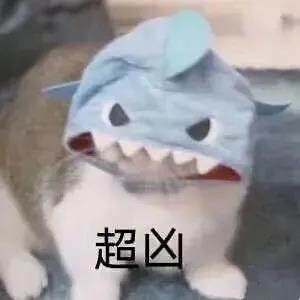 猫表情包