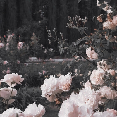 裴珠泫/沈舒桃
◎「別執迷不悟」
全員惡人