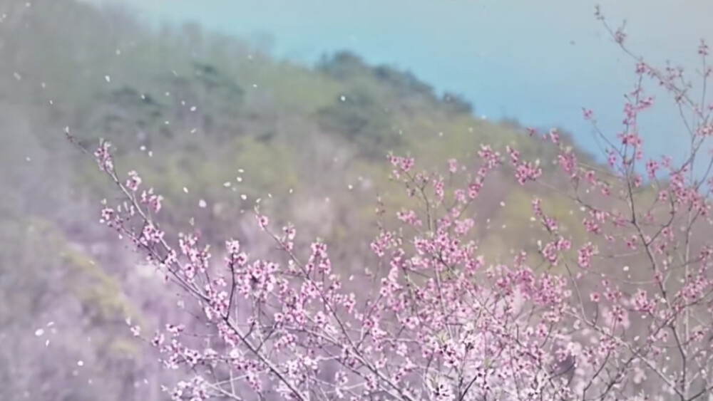 ◎古风素材 古风场景
◎橙光素材|小说素材
电视剧：《红天机》