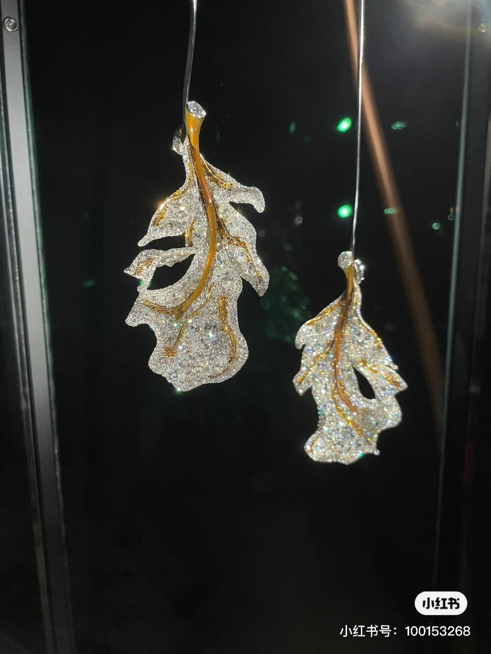 璀璨-小红书转载