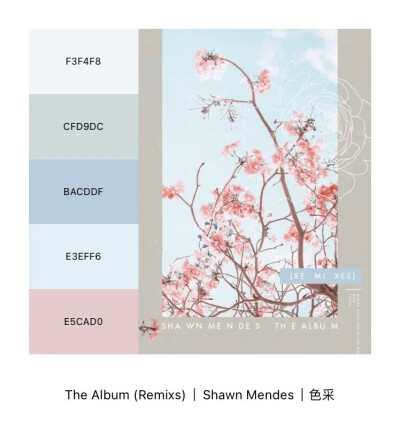 色采——Shawn Mendes