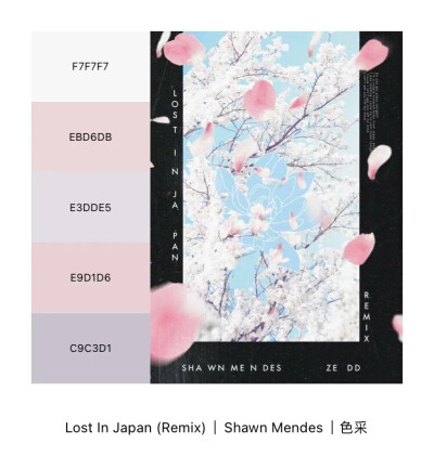 色采——Shawn Mendes