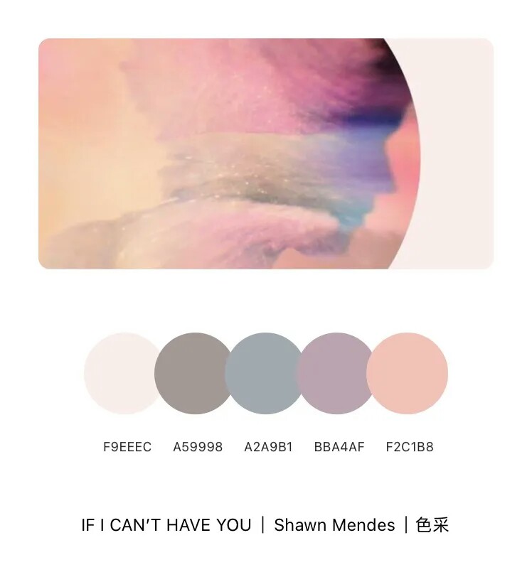 色采——Shawn Mendes