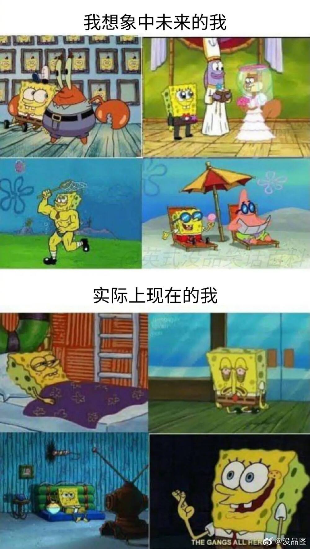 咩咩