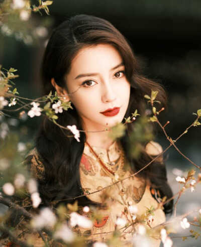 angelababy