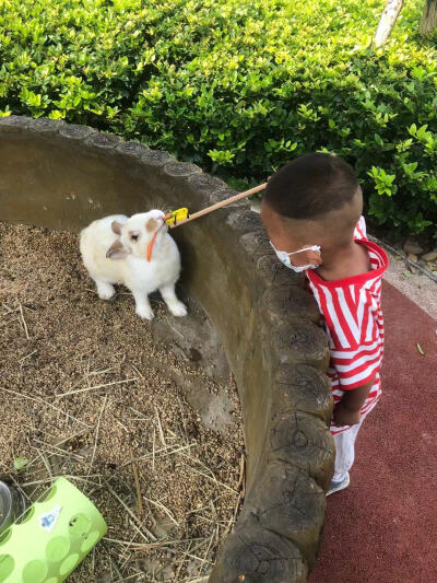 歌林公园一日游
整体环境可以，觉得孩子游玩的地方还是太少了，小孩子玩的东西的价格也还行