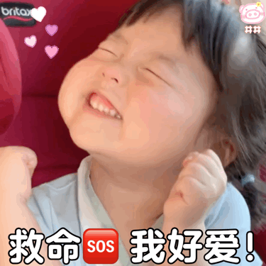 萌娃丸子妹表情包动图
可爱的表情包