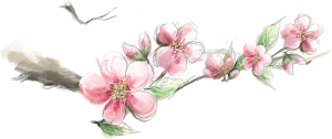 素材 免扣 关系卡 触漫 光效 花枝