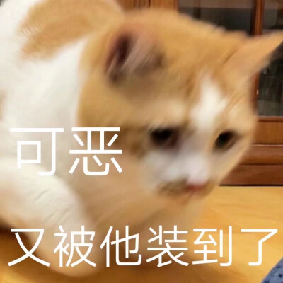 表情包