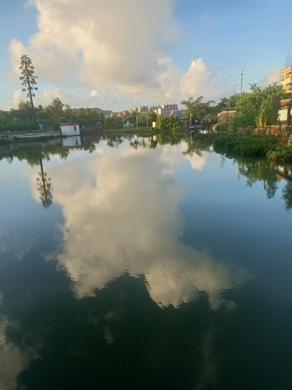 風(fēng)景